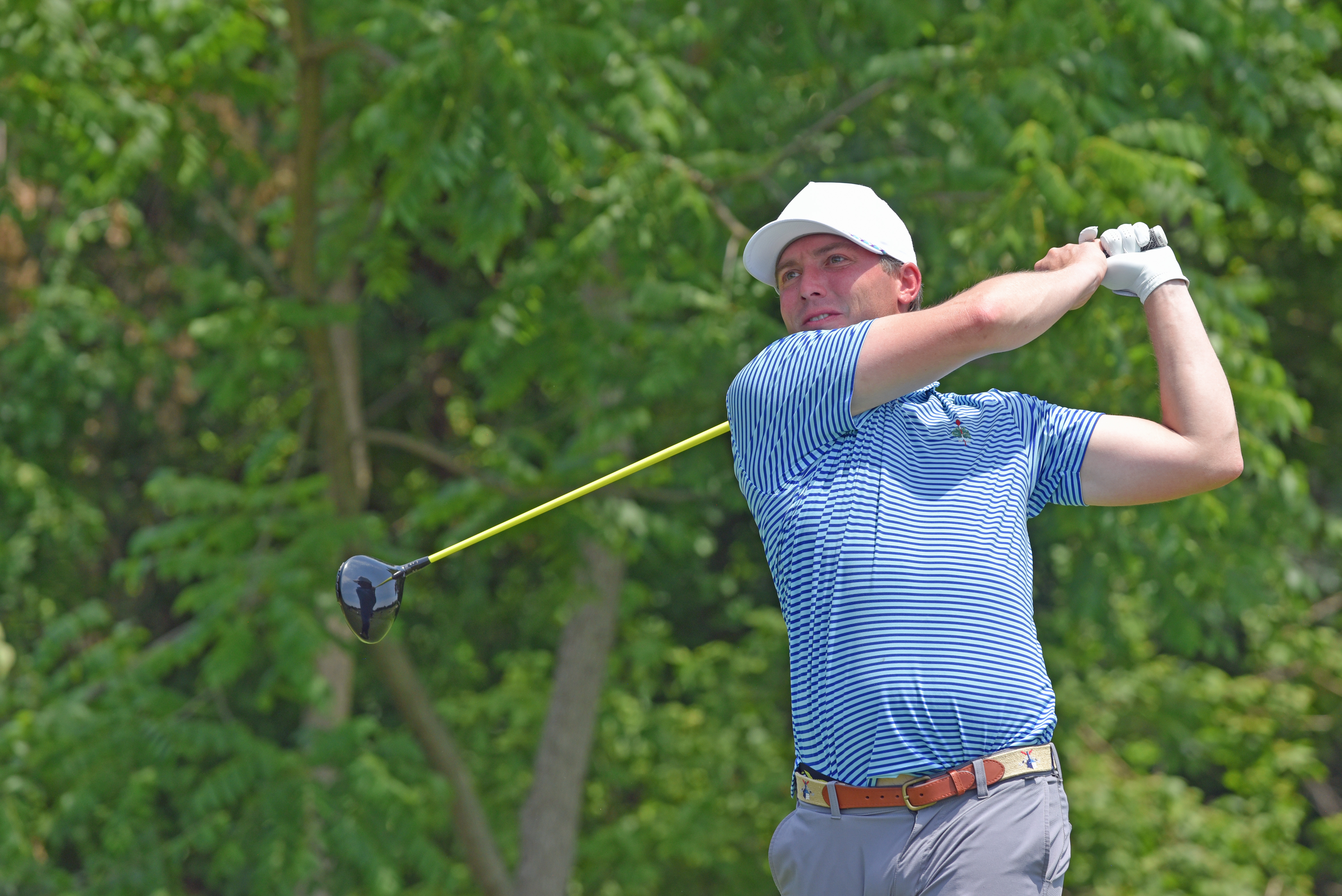 53816788317_e84043610a_o